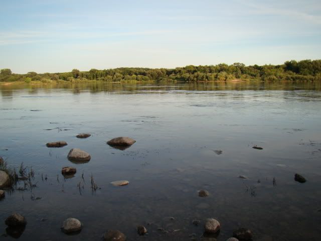 Paveikslėlis