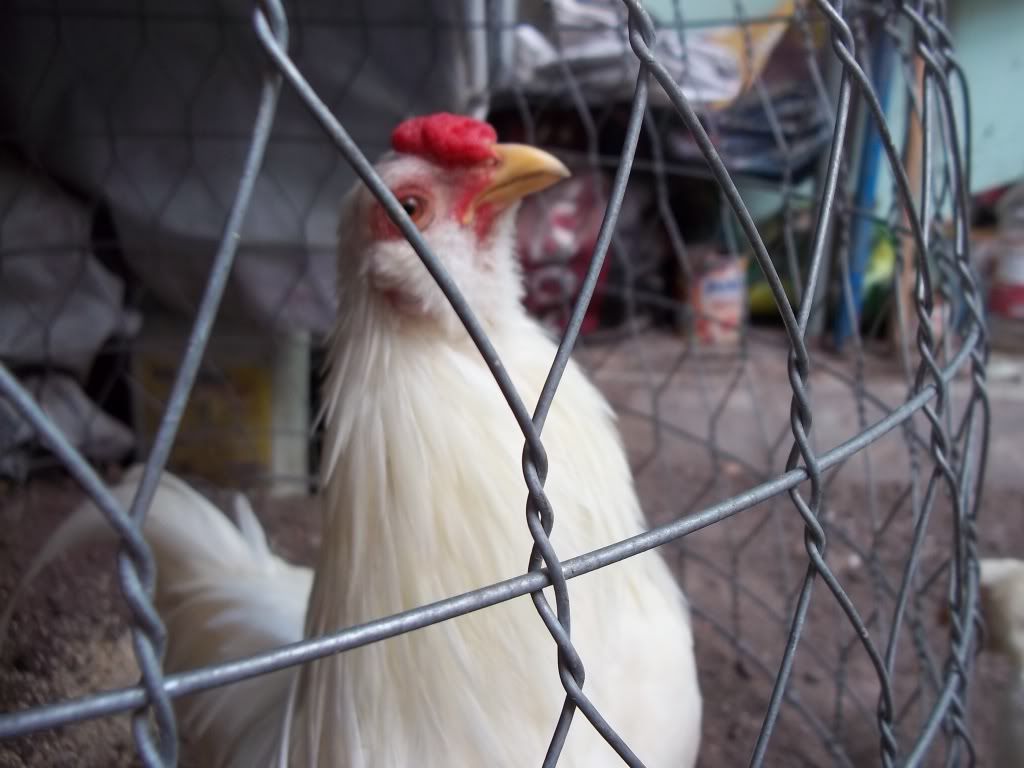 [REVIEW] Lớp Phổ Cập Bơi Của A Hải ( Kathy Optic ) - 3