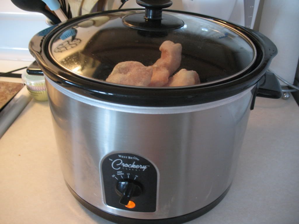 Crock Pot Shredded Chicken