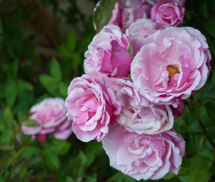  photo done-0125_zps746da99e.jpg