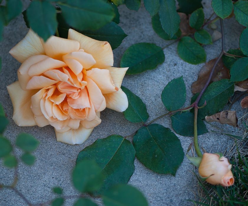  photo part2-11_zps9345e45a.jpg