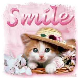 smile cat Pictures, Images and Photos