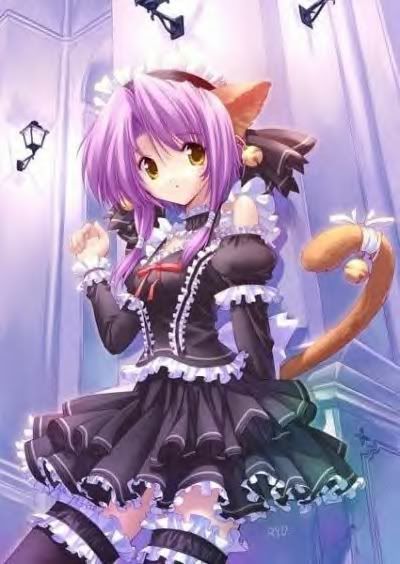 cute anime kitty girl. About. Name: loveonlytifa