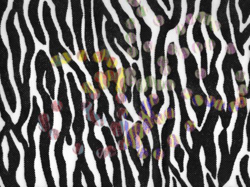 Get the code for the Animal Print Cebra Picture