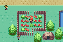 [PokeCommunity.com] Advent of the Bug