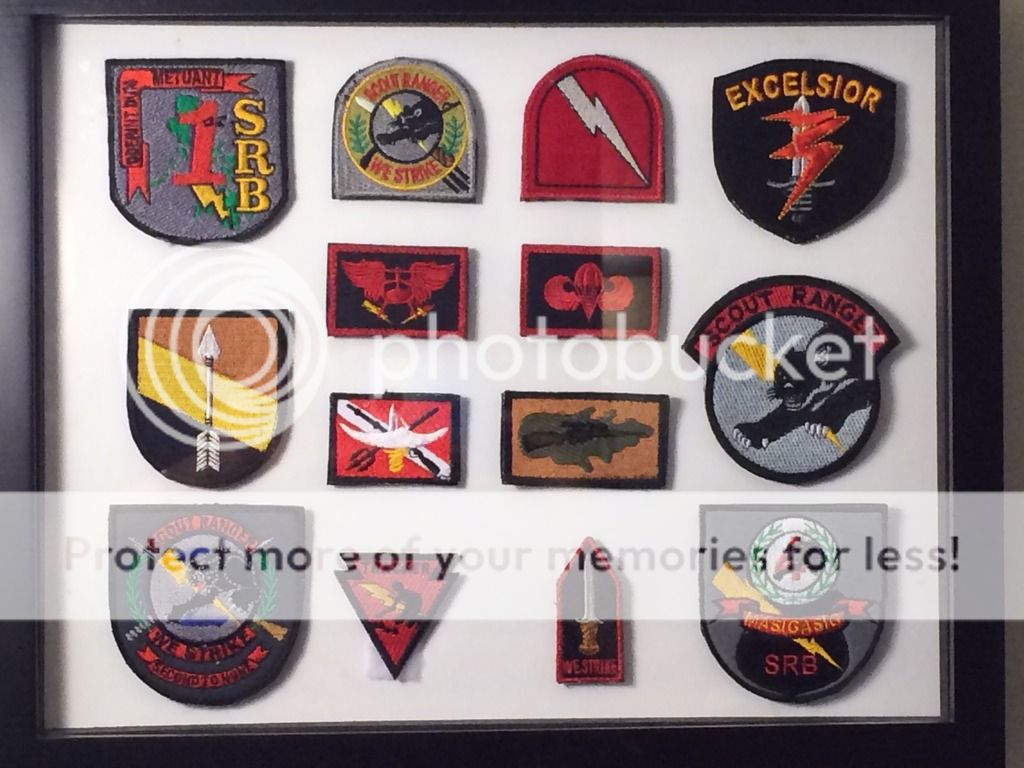 AFP  PATCHES COLLECTION Image