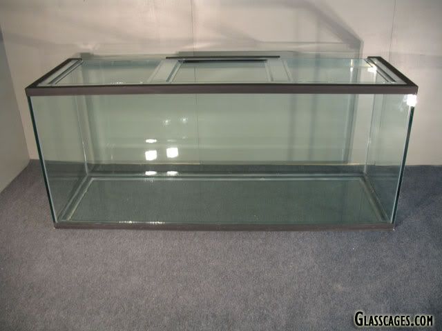 Calling all large glass tank builders! Which silicone? - Reef Central ...