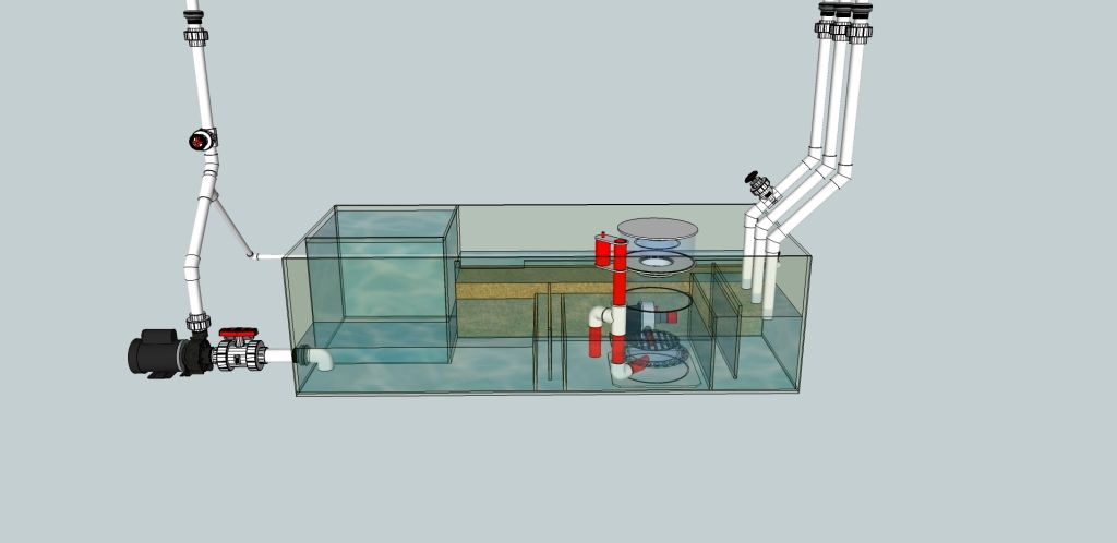 75 gallon sump help - Reef Central Online Community