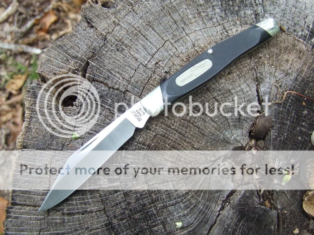 squirrels and traditional pocket knives